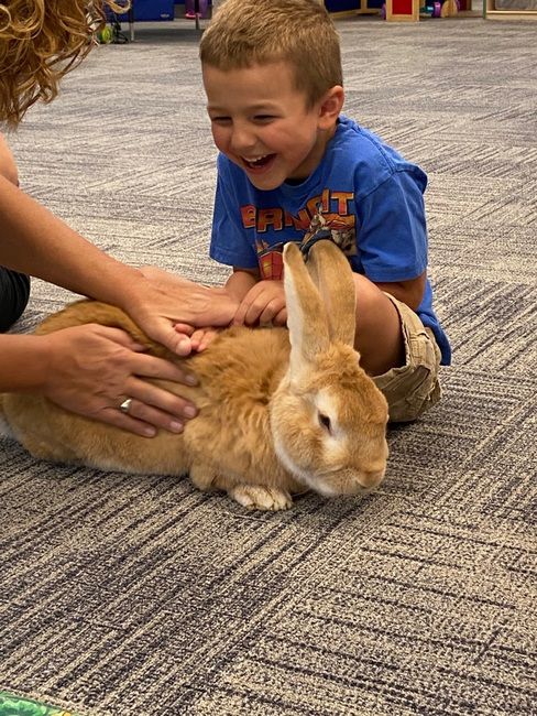 A Child's Garden Activity